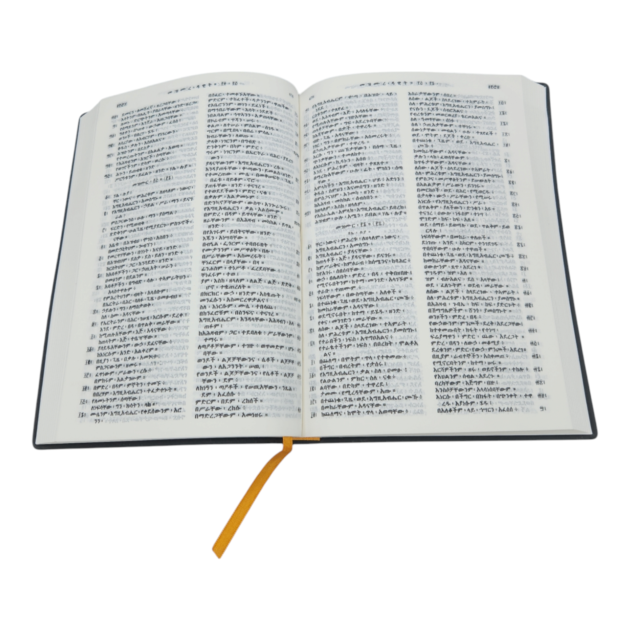 Bible Amharic Edition books 66