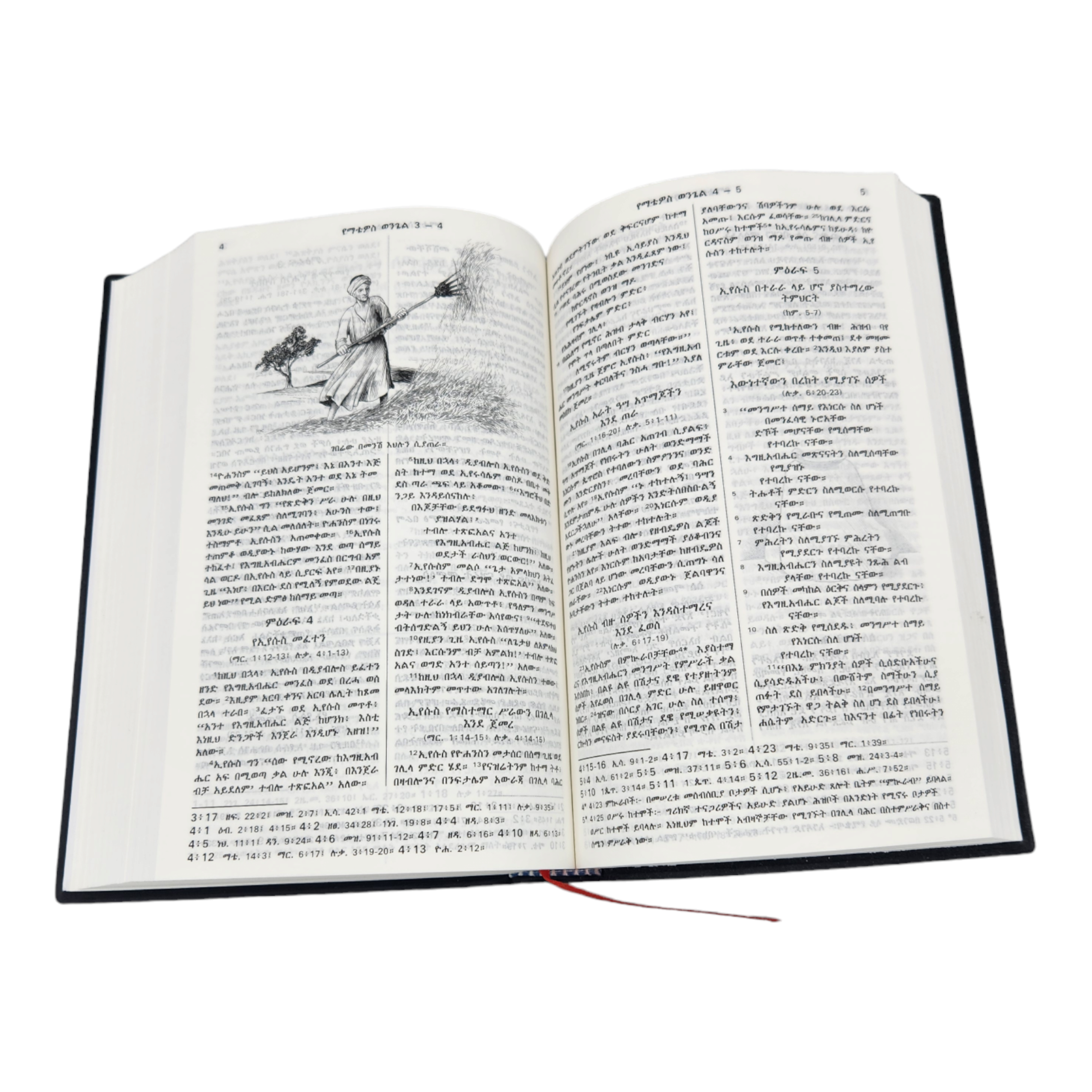 Biblia Amárico Edición 66 libros.